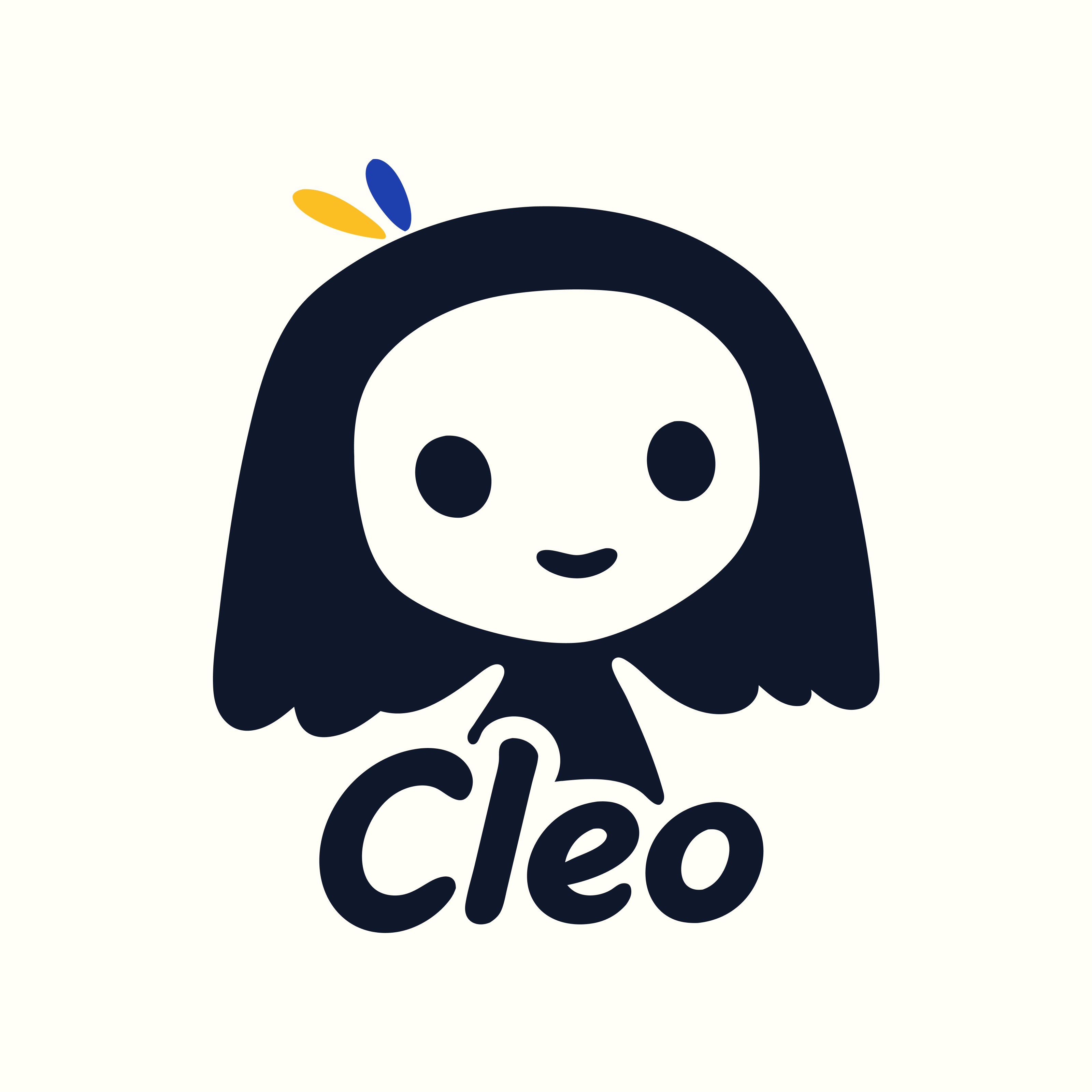 Cleo: AI teammate on WhatsApp